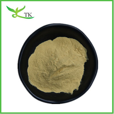 Supply Houttuynia Cordata Extract Powder Houttuynia Cordata Powder