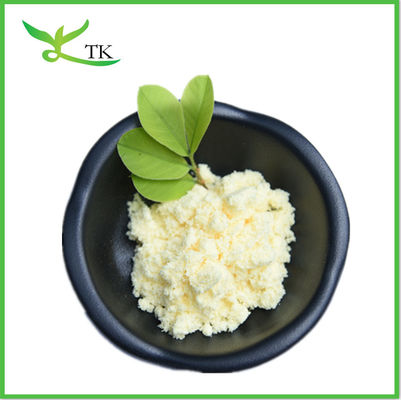 High Quality 100% Water Soluble Ginger Extract Powder