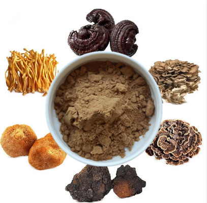 Mix 6 In 1 Mushroom Extract Powder Cordyceps Ganoderma Reishi Chaga Turkey Tail Maitake Lions Mane Mushroom Powder