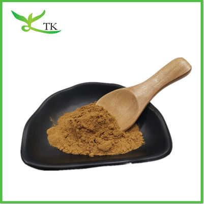 Best Price Green Tea Extract Powder Tea Polyphenols Powder