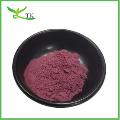 High Quality Red Dragon Fruit Powder Pitaya Fruit Powder