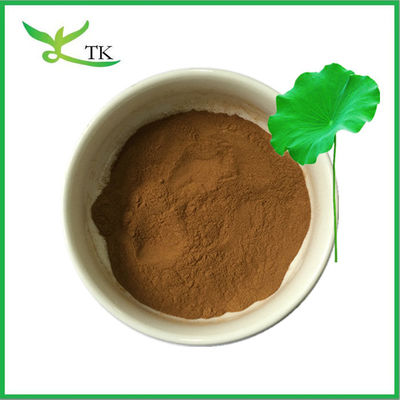 Wholesale Bulk Natural Weight Loss Powder Lotus Leaf Extract Powder Nuciferine