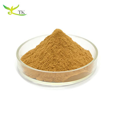 Wholesale Price Food Grade Natural African Mango Seed Extract Powder 10:1 Bulk