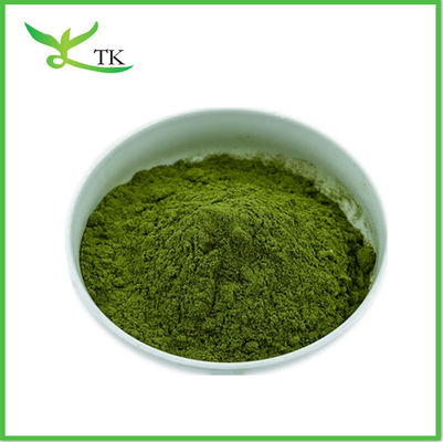 Plant Natural Wheat Grass Juice Powder Wheat Grass Extract Powder