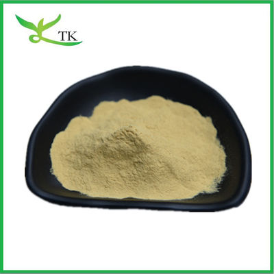 Natural Smoketree Extract Powder Fisetin Extract Powder 98% Pure Fisetin Powder