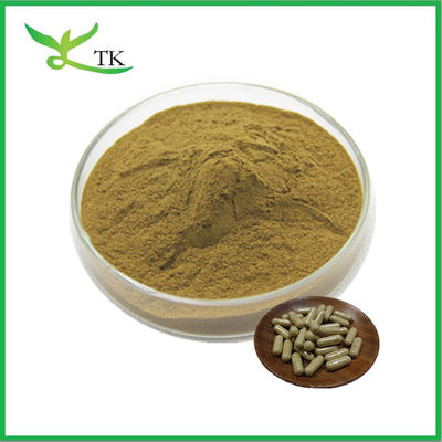 Pure Natural Echinacea Extract Powder Echinacea Capsules OEM Private Label For Immune Support