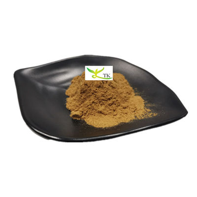 Wholesale Price Natural Plant Extract Powder 5% Flavonoids Dandelion Extract Powder