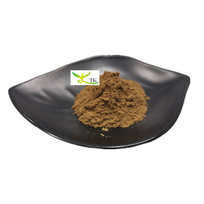 Natural Mushroom Extract Polysaccharide 20% Chaga Mushroom Extract Powder