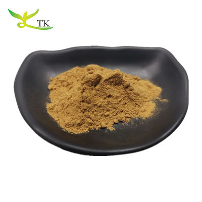 Best Price Natural Olive Leaf Extract Powder 20% 40% 70% Oleuropein In Stock
