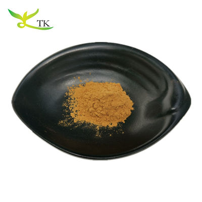 Factory Wholesale Price Red Clover Extract 8% Isoflavones Red Clover Extract Powder