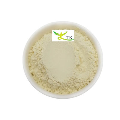 Natural Plant Extract Mango Leaves Extract Powder Mangiferin 95% CAS 4773-96-0