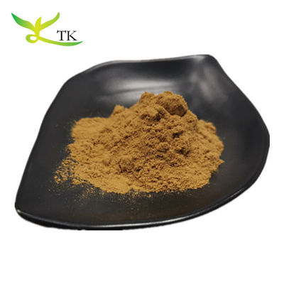 Wholesale Bulk Yerba Mate Extract Natural Paraguay Tea Mate Tea Extract