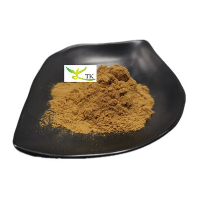 100% Natural Osyter Mushroom Extract Powder Pleurotus Ostreatus Extract