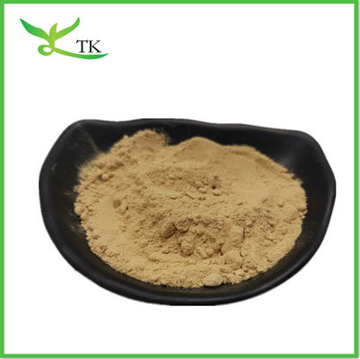 Best Price Okra Seed Extract Powder 10:1 20:1 Okra Extract Powder
