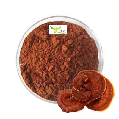 Wholesale Price Bulk 100% Natural Ganoderma Lucidum Reishi Mushroom Spore Powder
