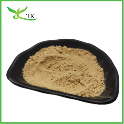 Best Pirce Burdock Root Extract Powder Fructus Arctii Extract Powder
