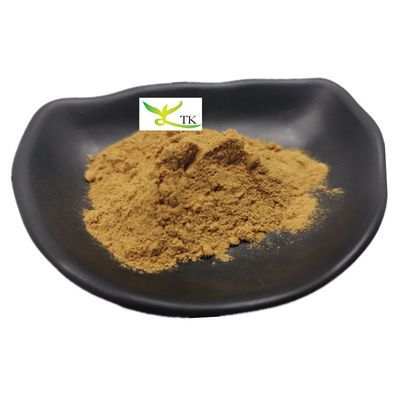 Wholesale Price Supply Natural Nasturtium Officinale Watercress Extract 10:1 Watercress Powder