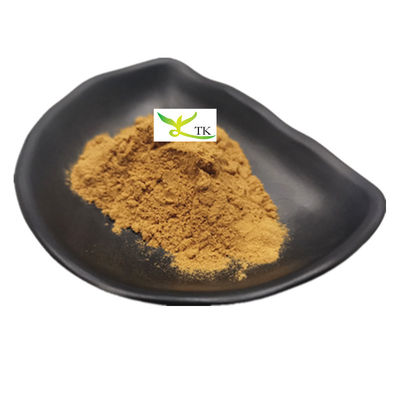 Wholesale Price Natural Herbal Supplement Ingredient Eyebright Extract Powder 10:1