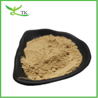Health Coriander Extract Coriandrum Sativum Extract Cilantro Extract Coriander Powder