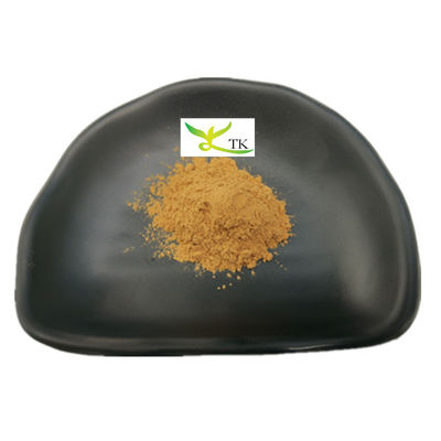 Wholesale Price Natural Cinnamon Extract Powder Cinnamon Bark Extract Powder Cinnamon Polyphenol