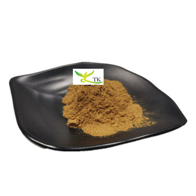 Wholesale Price Natural Herbal Supplement Ingredient 10:1 20:1 Lemon Balm Extract Powder