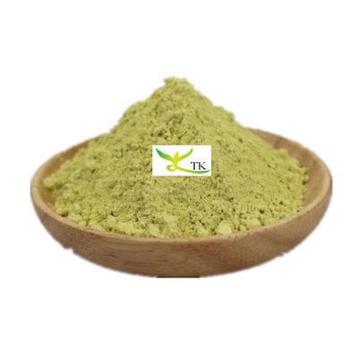 Best Quality Natural Plant Extract Sophora Japonica Extract Kaempferol 98% Kaempferol Price Bulk