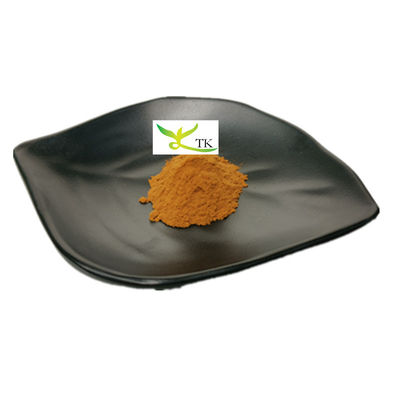 Wholesale Price Thailand Black Ginger Root Extract Powder 5,7-Dimethoxyflavone 2.5% 5% 8%