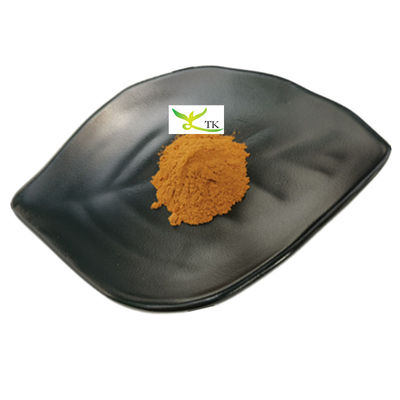 Wholesale Price 100% Natural Boletus Edulis Extract Penny Bun Extract Powder