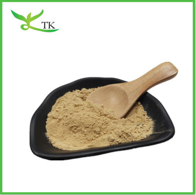 Food Grade Instant Chrysanthemum Tea Powder Chrysanthemum Tea Extract