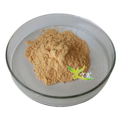 High Purity Seaweed Kelp Extract Fucoidan Powder