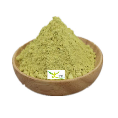 Wholesale Quercetin Price Natural Sophora Japonica Extract 98% Quercetin Powder