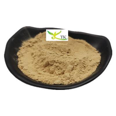 Chinese Panax Ginseng Extract 5%-80% Ginsenosides Ginseng Extract Powder