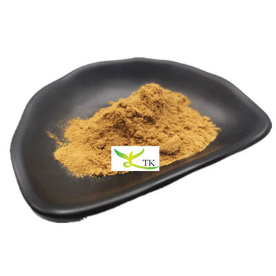 Food Grade 100% Natural Green Coffee Bean Extract 50% Chlorogenic Acid Bulk Price