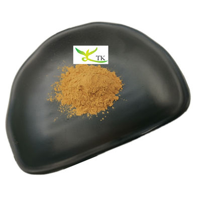 ISO Factory Wholesale Price Natural Artichoke Leaf Extract Powder 5% Cynarin