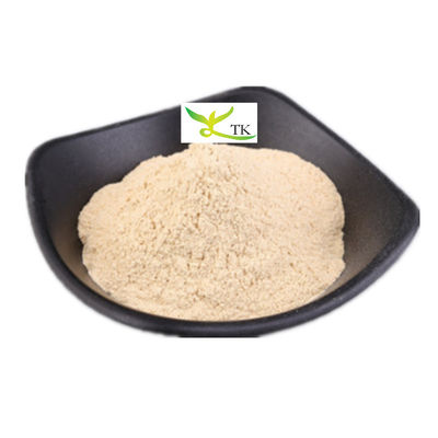 Wholesale Price Food Grade Onion Extract Dehydrated Red Onion Powder Supplier