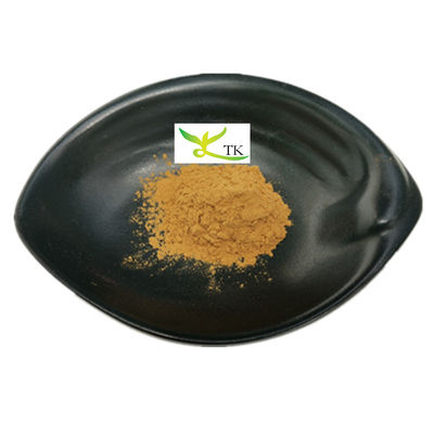 Bulk Price Natural Plant Extract 50% Giant Knotweed Polygonum Cuspidatum Extract Powder