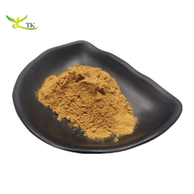 Wholesale Price Natural 10:1 20:1 Humulus Lupulus Hops Flower Extract Powder Hop Extract