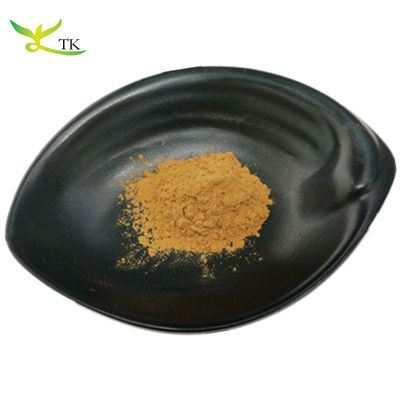 Wholesale Price Supply 100% Natural Mullein Leaf Extract For Lungs Mullein Extract Powder