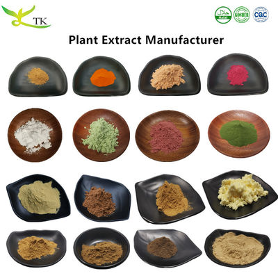 Factory Wholesale Price Natural Food Plant Extract Powder for Herbal Healthcare Supplements