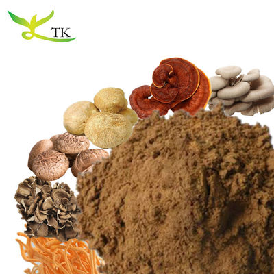 100% Natural Reishi Lion'S Mane Shiitake Maitake Chaga Turkey Tail Mushroom Extract Powder Blend