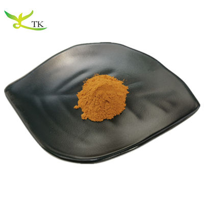 Natural Supplement Fenugreek Seed Extract Capsules Fenugreek Extract Powder Trigonelline