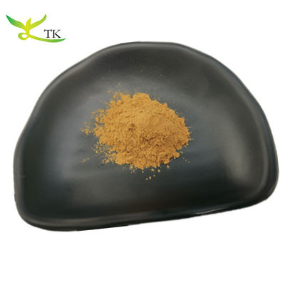 Wholesale Food Grade 100% Natural Amla Extract Powder 10:1 Phyllanthus Emblica Extract Powder