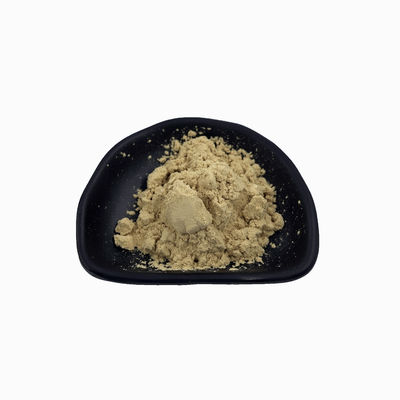 Natural Oregano Powder Water Soluble Oregano Extract Oregano Leaf Extract