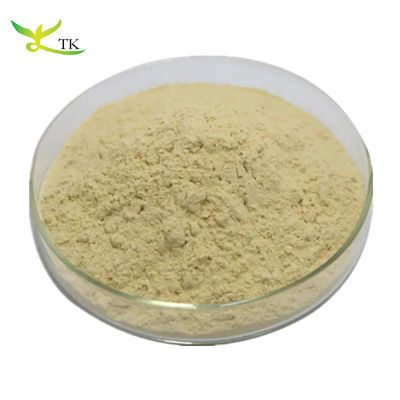 Wholesale Price Top Quality 85% Baicalin Baikal Skullcap Root Extract Powder