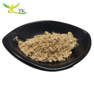 Top Quality 100% Pure Natural Panax Ginseng Root Extract Ginsenosides Powder 10%~80%