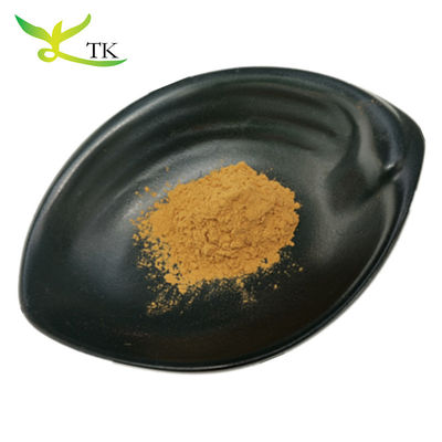 100% Natural Chinese Herbal Extract Astragalus Root Extract Powder Huangqi Extract Powder