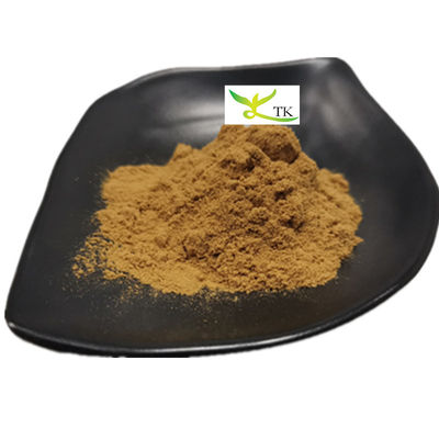 Pure Traditional Chinese Herb Angelica Sinensis Root Extract Powder Ligustilide 1%
