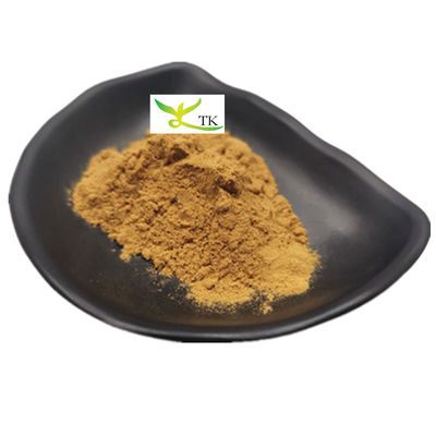 100% Natural Chinese Herb Dang Gui Extract Dong Quai Extract Ligustilide Powder