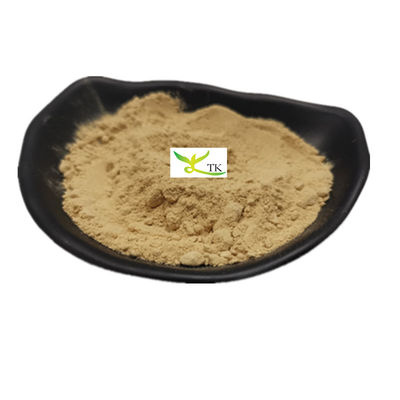 16 Years Factory Wholesale Price 100% Natural Food Grade Ginger Root Extract Powder Bulk