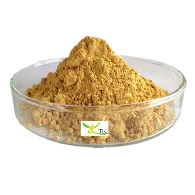 100% Natural African Mango Seed Extract Powder 10:1 20:1 Food Grade Best Price